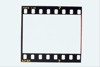 1000607770.jpg